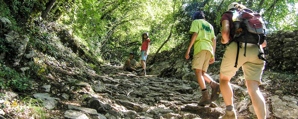 Wanderweg am Gardasee