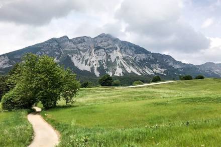 Monte Biaena - der kleine Bruder des Monte Stivo