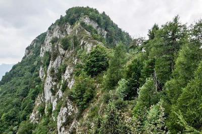Blick auf den Gipfel des Monte Biaena
