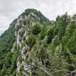 Monte Biaena