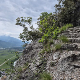 steintreppe-seilversicherung